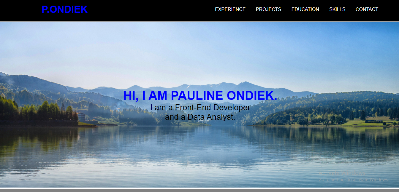 portfolio2